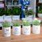 Newest Style A Potted Plant Artificial Potted Plant Potted Artificial Plant