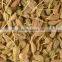 Pure Aniseed Essential Oil From India