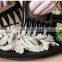 High Temperature Resistance BBQ Handler Food-Grade PC Meat Tearing Claws