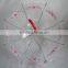 Transparent Umbrella Custom Printing Manufacturer China