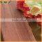 Waterproof Artificial Wpc Hollow Board Wpc Timber Wood