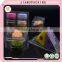 Wholesale clear disposable macaron packaging box