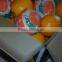 fresh organic navel orange