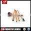 Shiny Golden Facial Makeup Brush Set with 5pcs