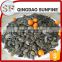 2016 new crop gws pumpkin seed kernels in high quality