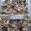 Chinese	1kg	mix mushrooms kinds of oyster mushrooms mushroom for sale