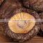 Shelf Life Dried Shiitake Mushroom Powder Extract