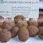 LECA/Lightweight Expanded Clay Aggregrate for Aquaponics Water