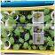 Density 60-100kg/m3 Rockwool cubes price for growing vegetables