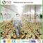 hot sale broiler breeder chicken poultry breeding houses