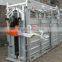 loading ramp / cattlle feeder / cattle crush