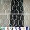 Galvanized Hexagonal Wire Netting Bird Mesh