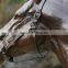 large outdoor statues bronze life size horse statues for sale