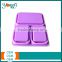 Convenient Hot Case Lunch Box For Traveling