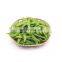 Sinocharm IQF Edamame Frozen with competitive price