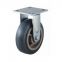 Antimicrobial Heavy Duty Casters (304kg)