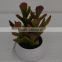 New design factory direct price mini potted artificial succulents New design factory direct price mini potted artificial succule