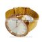 2016 trendy simple style vogue water resistant sapphire quartz watch