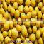 soya beans ,non-GMO,good quality,cheap price