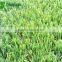 Garden decoration use nature look artificial grass