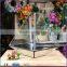 home indoor decoration Geometric clear glass plant terrarium