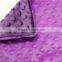 Super Soft Touch World Class Breathable Luxurious Soft Minky Dot Purple Pillow Case