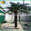 5m fiberglass trunk artificial date palm tree cheap price artificial palm tree