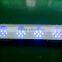 Hot sale 72W-288W aquarium led lighting for sps corals with 3w royal blue and white Epistar chip leds