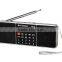Dual channel portable speaker with fm radio