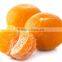 fresh valencia oranges in egyptian orange exporters