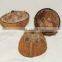 malabar coconut shell