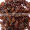 GOOD QUALITY INDUSTRIAL RAISIN BEST RATE