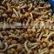 Frozen nameko top quality