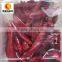 New crop dry red whole chilli exporter