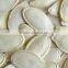 Wholesale shine skin pumpkin seeds with top quality