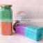 PET Plastic Canister