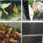Galvanised Hexagonal wire mesh, chicken wire mesh, poultry wire 1/2 hex mesh chicken wire
