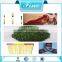 industrial grade animal glue for match head use match gelatin