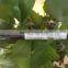 Plentirain drip irrigation pipe