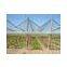 China Factory Plastic Anti Hail netting / Anti Hail Net