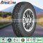 China Factory Price Light Truck Tire 500R12