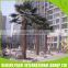 Fake Plastic Palm Large Outdoor Artificial Trees For Garden