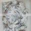 Frozen HACCP ISO FDA Baby Octopus