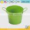 Iron and Zinc Unique Embossing Powder Coated Flowering Plants in Pots Decoration Garden Flower Pot