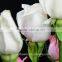 Hot sale fresh collected flowers flower growers directly supply from KUNMING