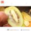 Multipurpose fruit cutting machine Vegetable and fruit dicer machine