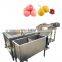 Factory price fruit and vegetable chilli pepper tomato washing cleaning machine