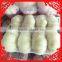 2016 New Crop Fresh Garlic in 10kg Mesh Bag and Carton China Export Garlic