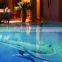 Foshan dolphin pattern customized logo cutting glass swimming pool floor tile