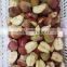 Farm industrial use Apple Pineapple Quinces Corer Slicer Peeler Remover Machine